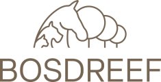 De Bosdreef